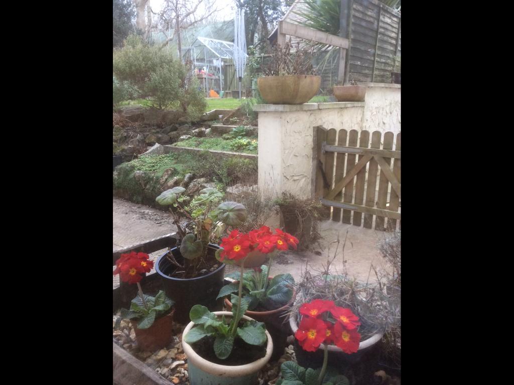 School Farm Bed & Breakfast Blagdon Eksteriør bilde